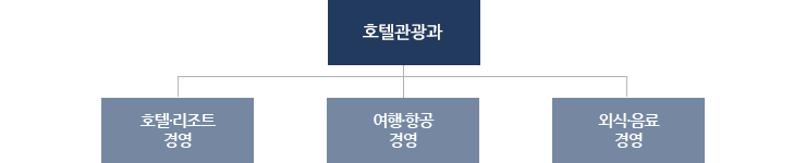 호텔관광과, 호텔·리조트경영, 여행·항공경영, 외식·음료경영